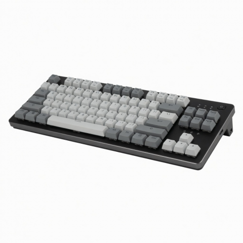 Wireless Mechanical Keyboard, 98-Key Compact Layout, Black and White