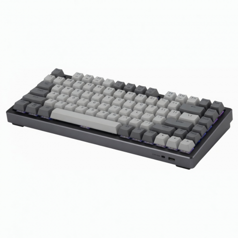 75% Wireless Mechanical Keyboard, Gray Compact Layout, RGB Backlighting