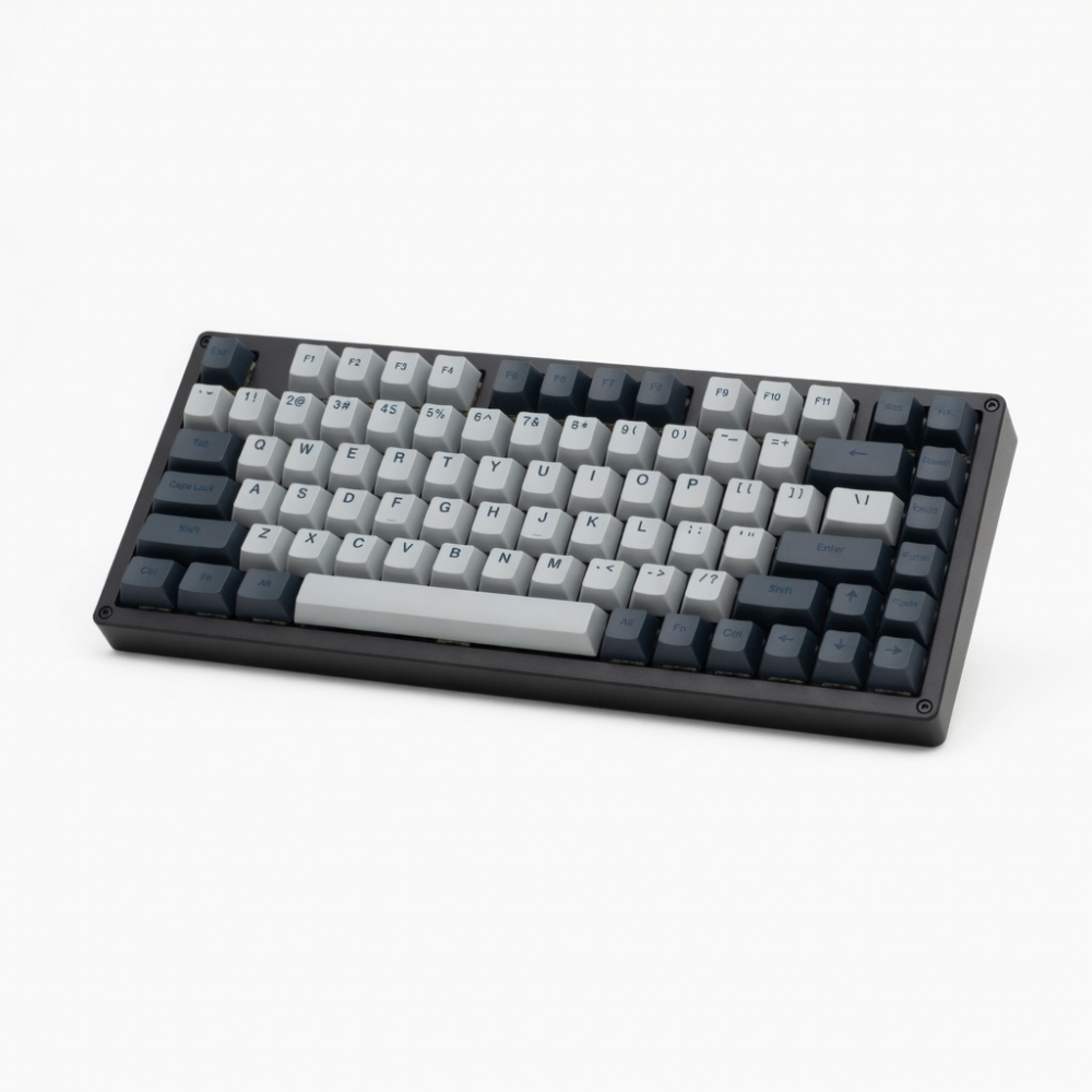 Mechanical Keyboard, 65-Key Compact Layout, Dual-Tone Keycaps