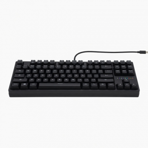 Wired Mechanical Keyboard 87-Key Tenkeyless Black Keyboard
